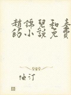 赵锦儿和秦慕修的小说免费阅读全文