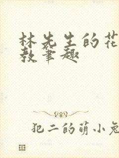 林先生的花式管教笔趣