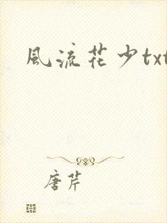 风流花少txt
