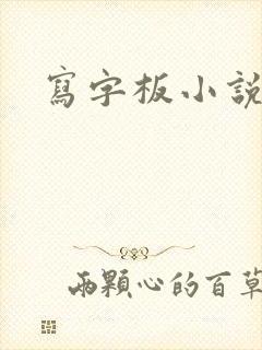 写字板小说封面