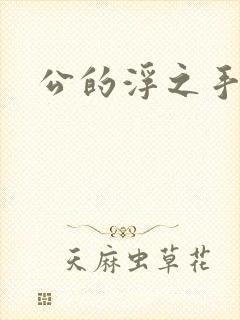 公的浮之手中字