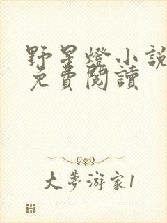 野星灯小说全文免费阅读封面