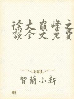 徐大巅峰之路小说全文免费阅读