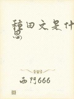 种田文是什么意思