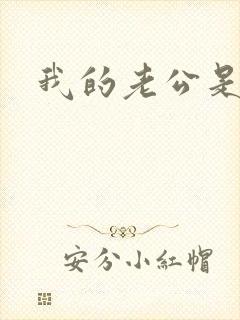 我的老公是冥王封面