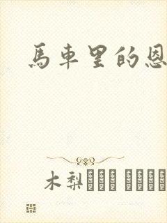 马车里的恩爱封面