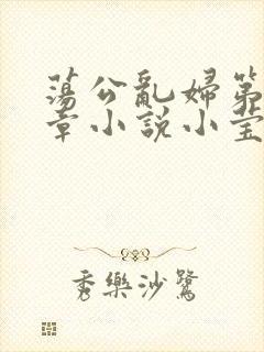 荡公乱妇第51章小说小莹