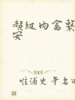 超级肉禽系统保安