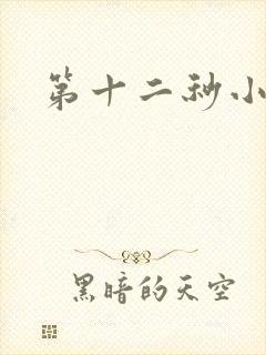 第十二秒小说封面