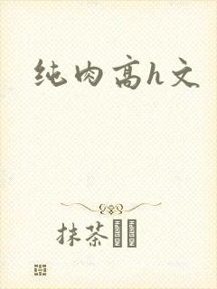 纯肉高h文封面