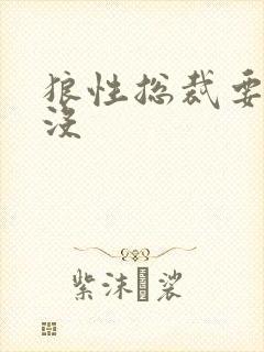 狼性总裁要够了没