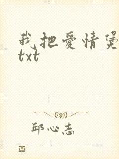我把爱情煲成汤txt