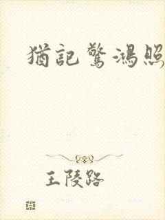 犹记惊鸿照影封面