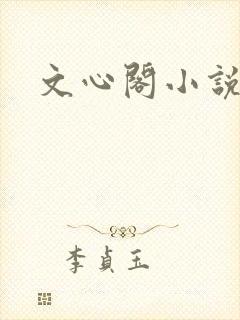 文心阁小说