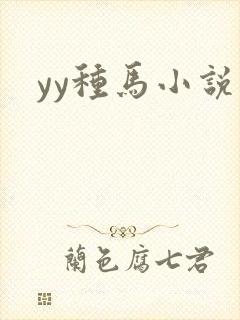 yy种马小说封面