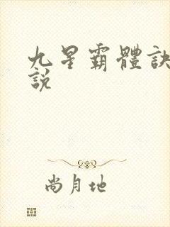 九星霸体诀 小说