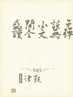 盛开小说免费阅读全文无弹窗