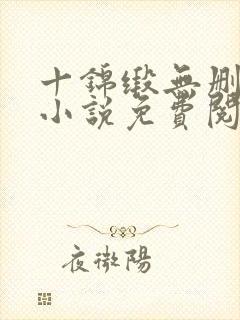 十锦缎无删原著小说免费阅读