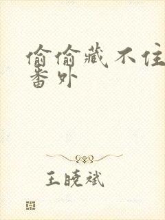 偷偷藏不住新婚番外