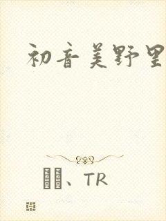 初音美野里封面