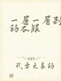 一层一层剥开你的衣服