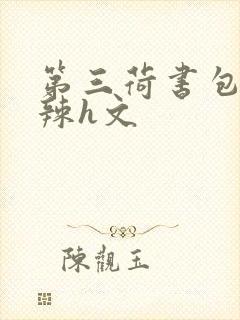 第三荷书包网高辣h文