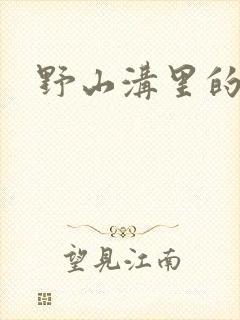 野山沟里的村庄