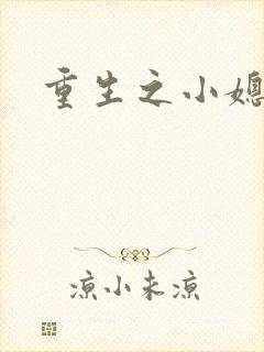 重生之小媳妇封面