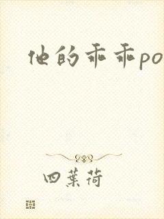 他的乖乖pop封面