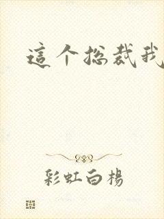 这个总裁我要了