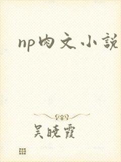 np肉文小说封面