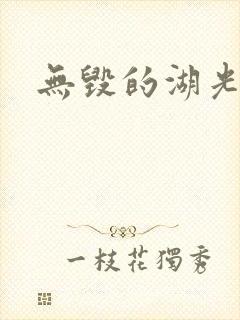 无毁的湖光封面