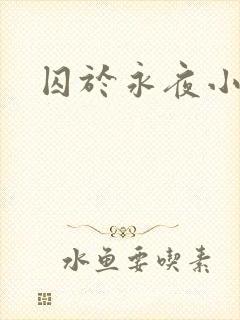 囚于永夜小说