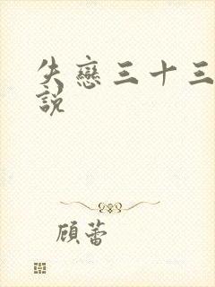 失恋三十三天小说