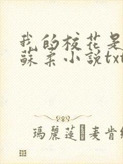 我的校花是福姬苏柔小说txt封面