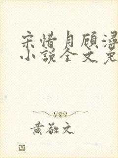 宋惜月顾浔渊的小说全文免费阅读