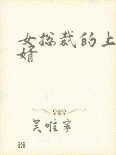 女总裁的上门女婿