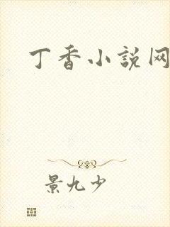 丁香小说网