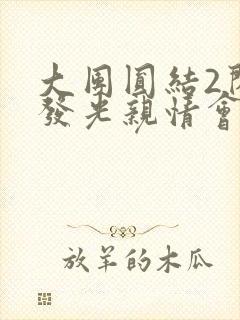 大团圆结2闪闪发光亲情会