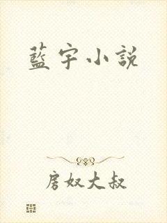 蓝宇小说