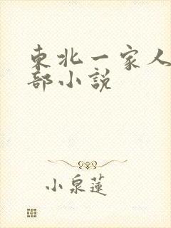 东北一家人第一部小说
