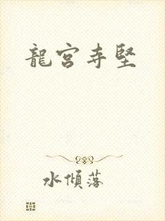 龙宫寺坚封面