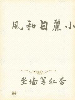 风和日丽小说