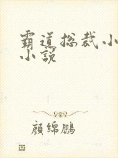 霸道总裁小娇妻小说