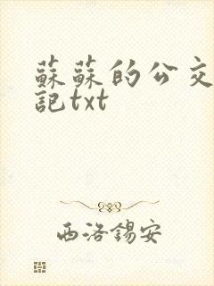 苏苏的公交车日记txt