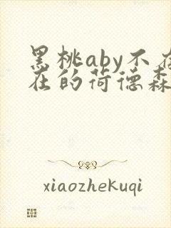 黑桃aby不存在的荷德森笔趣阁封面