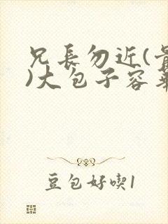 兄长勿近(骨科)大包子容华