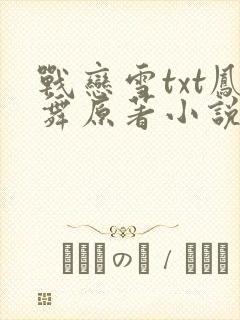 战恋雪txt凤舞原著小说封面