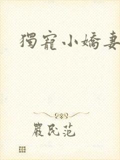 独宠小娇妻