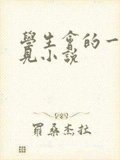 学生会的一己之见小说